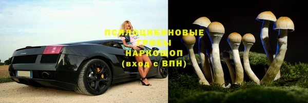СК Беломорск