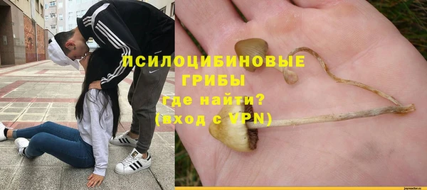 ешки Белокуриха