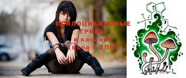 ешки Белокуриха